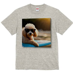 v[h TVc fB[X t@  t  vg JWA 킢 lԗp h ̃fUC ʔ TOX v[h T[t{[h