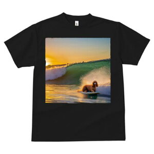 v[h TVc fB[X t@  t  vg JWA 킢 lԗp h ̃fUC ʔ g v[h T[tB C [