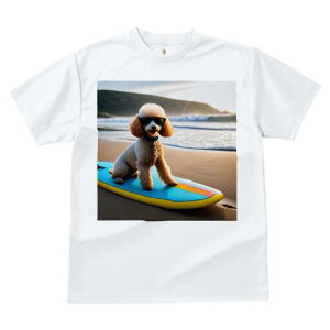 v[h TVc fB[X t@  t  vg JWA 킢 lԗp h ̃fUC ʔ T[t{[h v[h C C