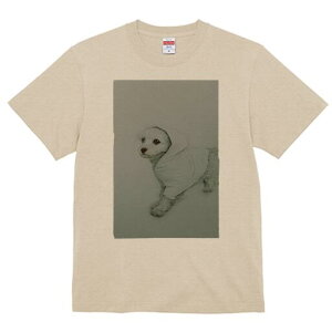 }`[Y TVc fB[X t@  t  vg JWA 킢 lԗp h ̃fUC ʔ t[htWPbg }`[Y