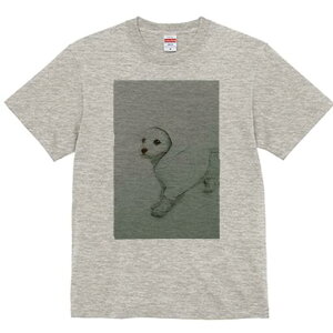 }`[Y TVc fB[X t@  t  vg JWA 킢 lԗp h ̃fUC ʔ t[htWPbg }`[Y