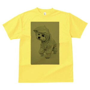 }`[Y TVc fB[X t@  t  vg JWA 킢 lԗp h ̃fUC ʔ CR[g }`[Y t[h