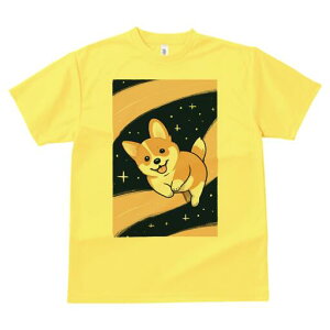 R[M[ TVc fB[X t@  t  vg JWA 킢 lԗp h ̃fUC ʔ F R[M[ 