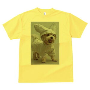 マルチーズ,トイプードル Tシャツ レディース 犬ファン 半袖 春夏 犬柄 プリント カジュアル かわいい 人間用 個性派 ここだけのデザイン 面白 レインコート マルチーズ,トイプードル 雨