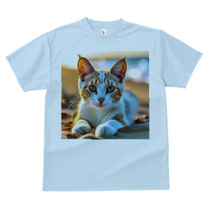 TVc fB[X t@  t  vg JWA 킢 lԗp h ̃fUC ʔ L l [Ă