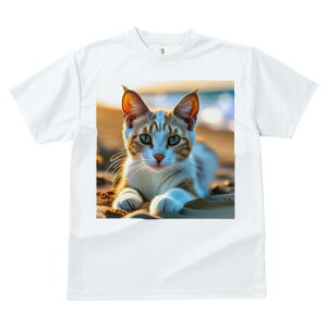 TVc fB[X t@  t  vg JWA 킢 lԗp h ̃fUC ʔ L l [Ă