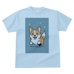 R[M[ TVc fB[X t@  t  vg JWA 킢 lԗp h ̃fUC ʔ  R[M[ 킢 CXg