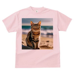 TVc fB[X t@  t  vg JWA 킢 lԗp h ̃fUC ʔ r[` C L