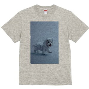 }`[Y,[NV[eA TVc fB[X t@  t  vg JWA 킢 lԗp h ̃fUC ʔ CR[g }`[Y,[NV[