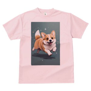 R[M[ TVc fB[X t@  t  vg JWA 킢 lԗp h ̃fUC ʔ  R[M[