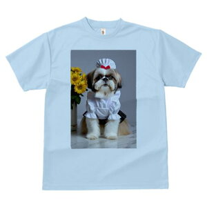 V[Y[ TVc fB[X t@  t  vg JWA 킢 lԗp h ̃fUC ʔ Ch V[Y[ 