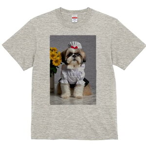 V[Y[ TVc fB[X t@  t  vg JWA 킢 lԗp h ̃fUC ʔ Ch V[Y[ 