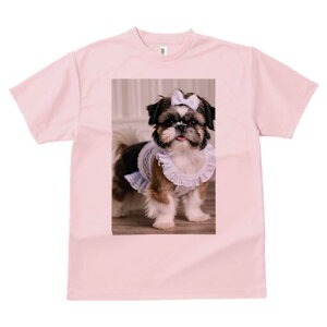 V[Y[ TVc fB[X t@  t  vg JWA 킢 lԗp h ̃fUC ʔ { V[Y[ s[X