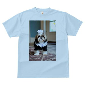 V[Y[ TVc fB[X t@  t  vg JWA 킢 lԗp h ̃fUC ʔ Ch V[Y[ Xq