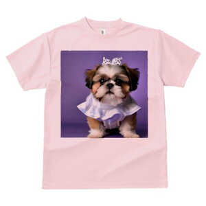 V[Y[ TVc fB[X t@  t  vg JWA 킢 lԗp h ̃fUC ʔ { V[Y[ 