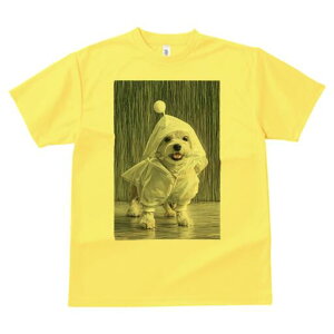 }`[Y TVc fB[X t@  t  vg JWA 킢 lԗp h ̃fUC ʔ J }`[Y CR[g