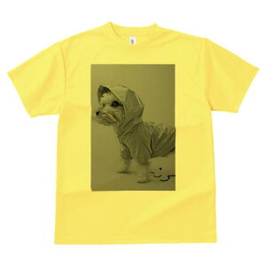 }`[Y TVc fB[X t@  t  vg JWA 킢 lԗp h ̃fUC ʔ CR[g }`[Y