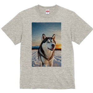 VxAnXL[ TVc fB[X t@  t  vg JWA 킢 lԗp h ̃fUC ʔ  VxAnXL[  [Ă ~