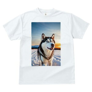 VxAnXL[ TVc fB[X t@  t  vg JWA 킢 lԗp h ̃fUC ʔ  VxAnXL[  [Ă ~