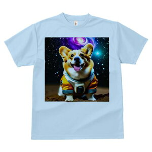 R[M[ TVc fB[X t@  t  vg JWA 킢 lԗp h ̃fUC ʔ F R[M[ F 