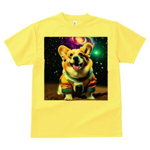 R[M[ TVc fB[X t@  t  vg JWA 킢 lԗp h ̃fUC ʔ F R[M[ F 