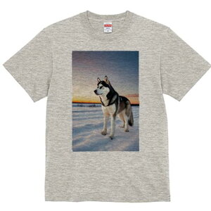 VxAnXL[ TVc fB[X t@  t  vg JWA 킢 lԗp h ̃fUC ʔ  VxAnXL[ [Ă ~