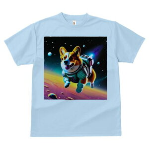 R[M[ TVc fB[X t@  t  vg JWA 킢 lԗp h ̃fUC ʔ F R[M[ Xy[X F