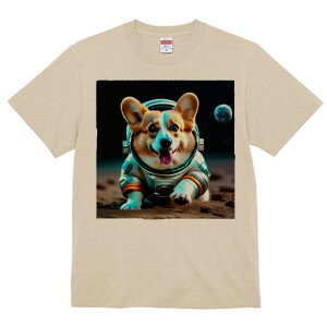 R[M[ TVc fB[X t@  t  vg JWA 킢 lԗp h ̃fUC ʔ F R[M[ F 