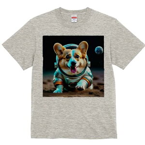 R[M[ TVc fB[X t@  t  vg JWA 킢 lԗp h ̃fUC ʔ F R[M[ F 