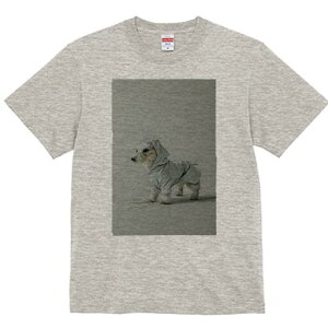 EGXgnChzCgeA TVc fB[X t@  t  vg JWA 킢 lԗp h ̃fUC ʔ CR[g EGXgnChz