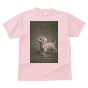 EGXgnChzCgeA TVc Y LbY t@  t  vg JWA 킢 lԗp h ̃fUC ʔ J EGXgnChzCg