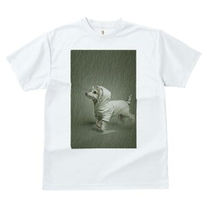 EGXgnChzCgeA TVc fB[X t@  t  vg JWA 킢 lԗp h ̃fUC ʔ J EGXgnChzCge