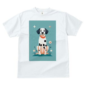 _VA TVc fB[X t@  t  vg JWA 킢 lԗp h ̃fUC ʔ  _VA  