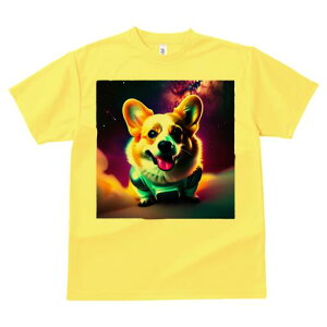 R[M[ TVc fB[X t@  t  vg JWA 킢 lԗp h ̃fUC ʔ F R[M[ Xy[X _ F