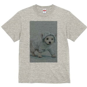 ウェストハイランドホワイトテリア Tシャツ レディース 犬ファン 半袖 春夏 犬柄 プリント カジュアル かわいい 人間用 個性派 ここだけのデザイン 面白 レインコート ウェストハイランドホ