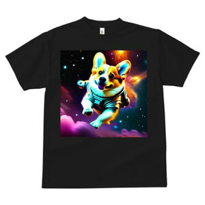 R[M[ TVc fB[X t@  t  vg JWA 킢 lԗp h ̃fUC ʔ F R[M[ Xy[X  F