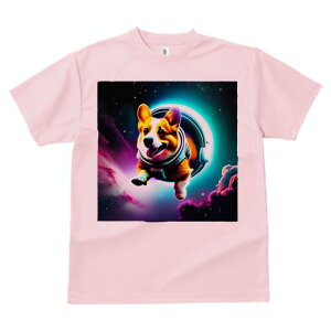 R[M[ TVc fB[X t@  t  vg JWA 킢 lԗp h ̃fUC ʔ F R[M[ Xy[X F _