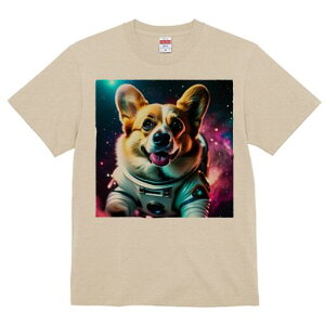 R[M[ TVc fB[X t@  t  vg JWA 킢 lԗp h ̃fUC ʔ F R[M[ F