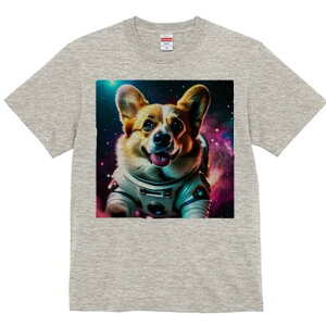 R[M[ TVc fB[X t@  t  vg JWA 킢 lԗp h ̃fUC ʔ F R[M[ F