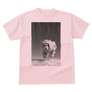 マルチーズ Tシャツ レディース 犬ファン 半袖 春夏 犬柄 プリント カジュアル かわいい 人間用 個性派 ここだけのデザイン 面白 雨 マルチーズ レインコート