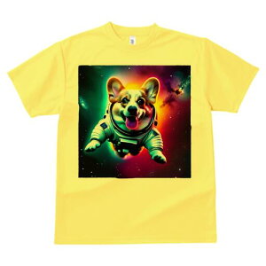 R[M[ TVc fB[X t@  t  vg JWA 킢 lԗp h ̃fUC ʔ F R[M[ F