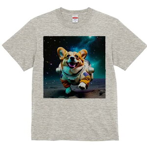 R[M[ TVc fB[X t@  t  vg JWA 킢 lԗp h ̃fUC ʔ F R[M[ F 