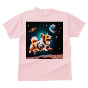 R[M[ TVc fB[X t@  t  vg JWA 킢 lԗp h ̃fUC ʔ F R[M[ f Xy[XX[c