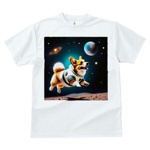 R[M[ TVc fB[X t@  t  vg JWA 킢 lԗp h ̃fUC ʔ F R[M[ f Xy[XX[c