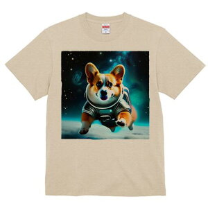 R[M[ TVc fB[X t@  t  vg JWA 킢 lԗp h ̃fUC ʔ F R[M[ F 