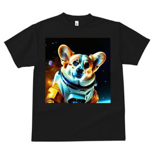 R[M[ TVc fB[X t@  t  vg JWA 킢 lԗp h ̃fUC ʔ F R[M[ F 