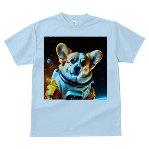 R[M[ TVc fB[X t@  t  vg JWA 킢 lԗp h ̃fUC ʔ F R[M[ F 