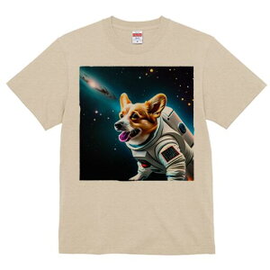 R[M[ TVc fB[X t@  t  vg JWA 킢 lԗp h ̃fUC ʔ F R[M[ F 