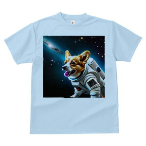 R[M[ TVc fB[X t@  t  vg JWA 킢 lԗp h ̃fUC ʔ F R[M[ F 