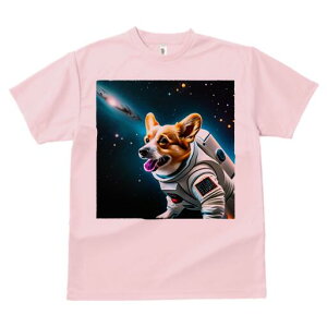 R[M[ TVc fB[X t@  t  vg JWA 킢 lԗp h ̃fUC ʔ F R[M[ F 